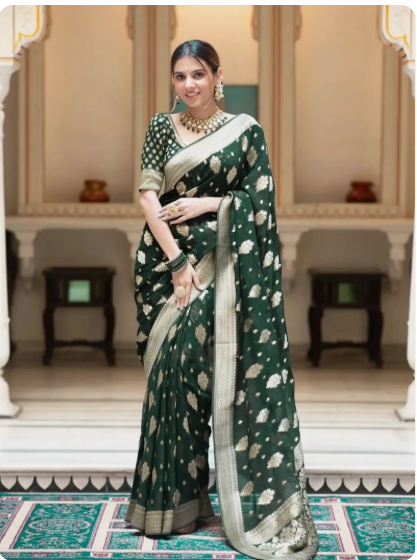 saree 1 saree 1